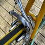 Bianchi Pantani Image 3