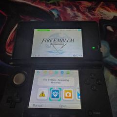 Nintendo 3ds