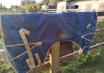 Pony turnout rugs