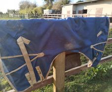Pony turnout rugs