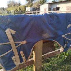 Pony turnout rugs