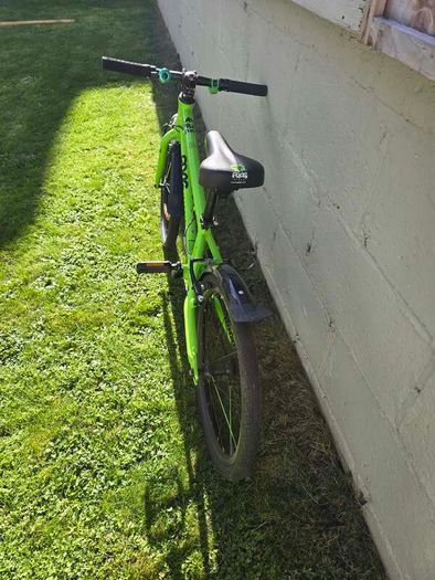 Frog 52 kids bike