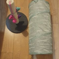 cat scratch post and tunnel