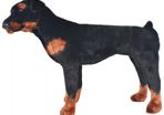 Standing Plush Toy Rottweiler Dog Black and Brown XXL