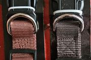 Dog Collar x2 BNWT