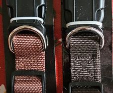 Dog Collar x2 BNWT
