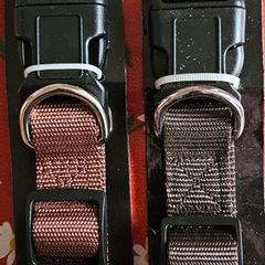 Dog Collar x2 BNWT