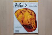 Scientific American Magazine Prehistoric Amber Issue 1996