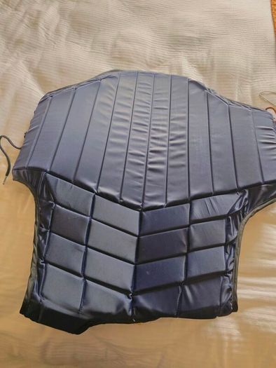 Racesafe Back Protector