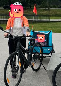 Bicycle cart for kids/pets