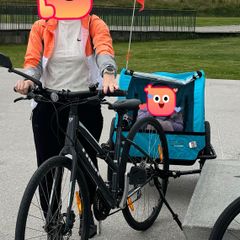 Bicycle cart for kids/pets