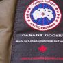canada goose Image 4