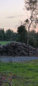 logs