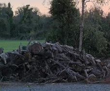 logs