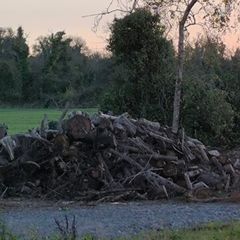 logs