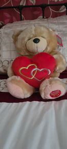 Teddy Bear