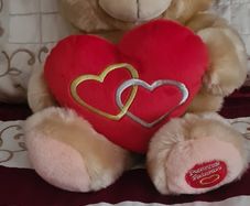 Teddy Bear