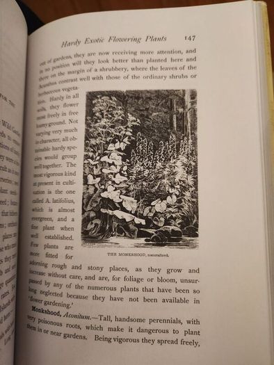 The Wild Garden. By William Robinson. Hardback With Dustjacket In Good Condition.
