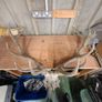 stag antlers Image 5