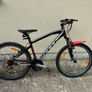 Ladies Bike Image 2