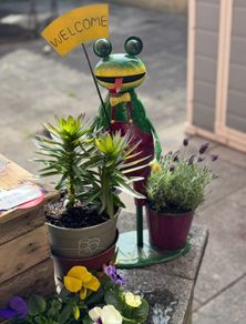 Flower Pots