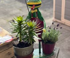 Flower Pots