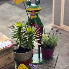 Flower Pots