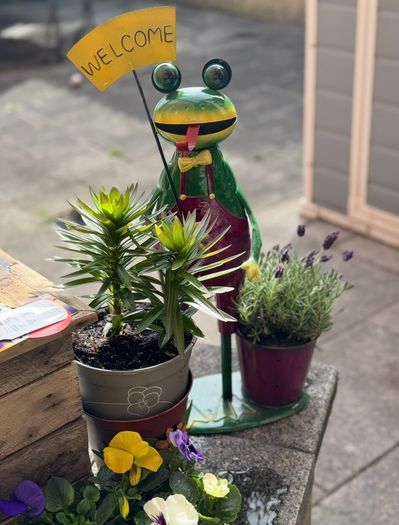 Flower Pots