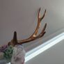 Fancy Dress / Halloween - Deer Antlers Image 3