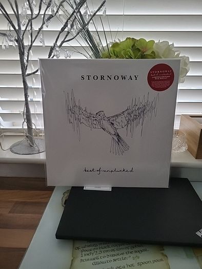 Stornoway Best of Unplucked limited edition eco mix vinyl