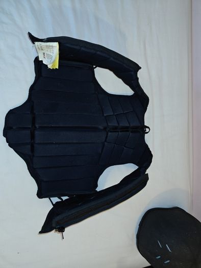 Equestrian back protector