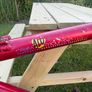 Orbea Retro MTB Frame & Fork Image 5