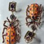 Bejewelled Crystal Large Beetle Earrings Image 3