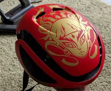 bicycle helmet