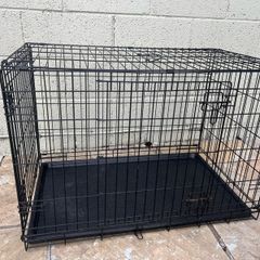 Large foldable dog crate