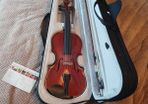 violin