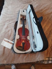 violin