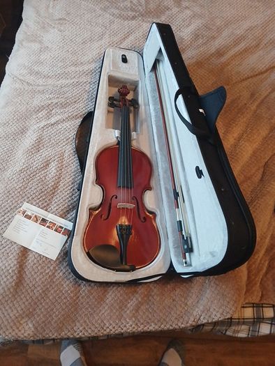 violin