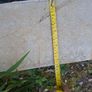 Limestone Paving Image 7