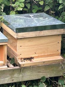 National Beehive with Honey Bees