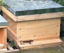 National Beehive with Honey Bees