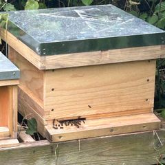 National Beehive with Honey Bees