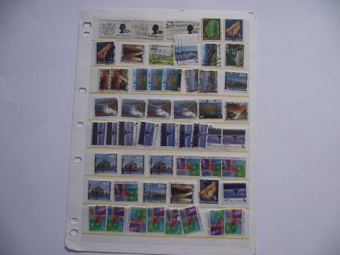 The collection of old stamps from New Zealand on stock cards (from Queen Victoria up to 1980s)