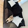 sofa Image 3
