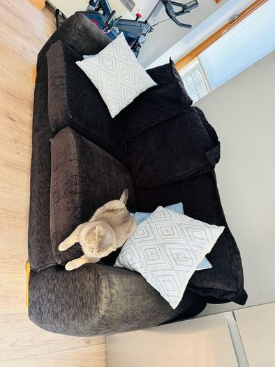 sofa