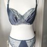 Fantasie Bra Image 4