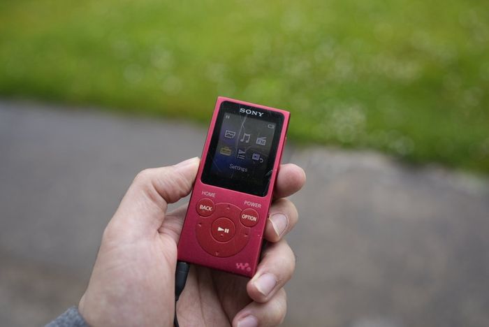 Sony Walkman NW-E394 8GB