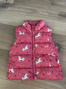 gilet