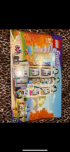 Emma's art school Lego 41711
