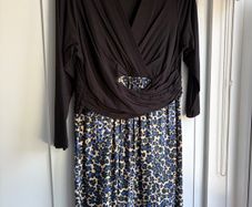Seraphine pregnancy and postpartum dress